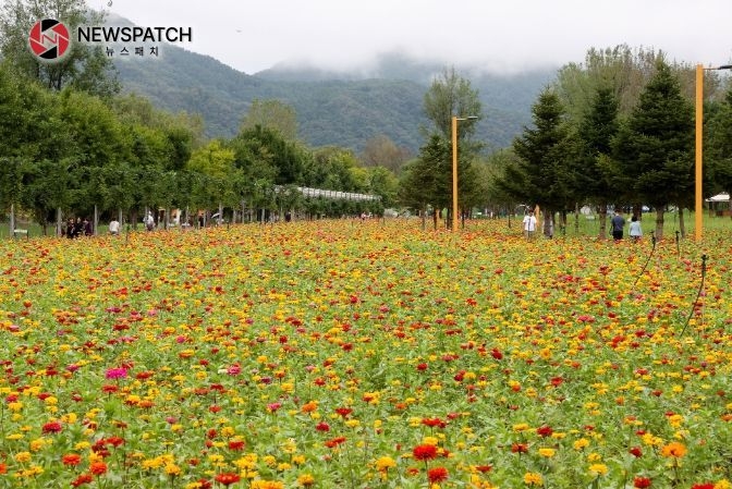 지난해가을에열린 자라섬꽃축제현장